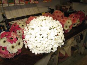 wedding bride and maides